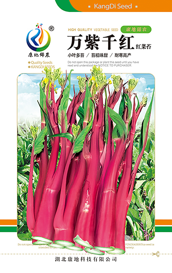 萬紫千紅