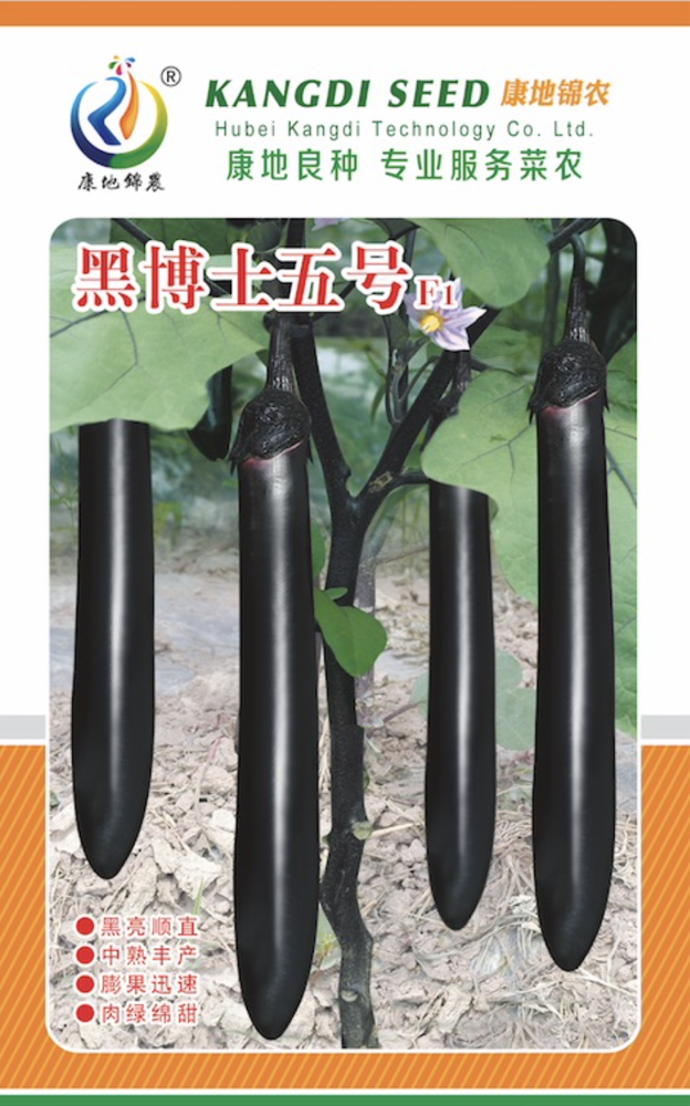 黑博士5號(hào)